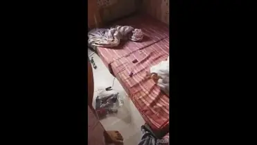 Di Kamar Pacar Ngentot Panas Sange Amatir